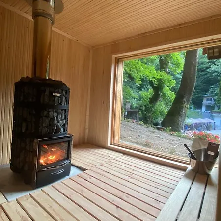 Hotel Saint Nedelya 3*