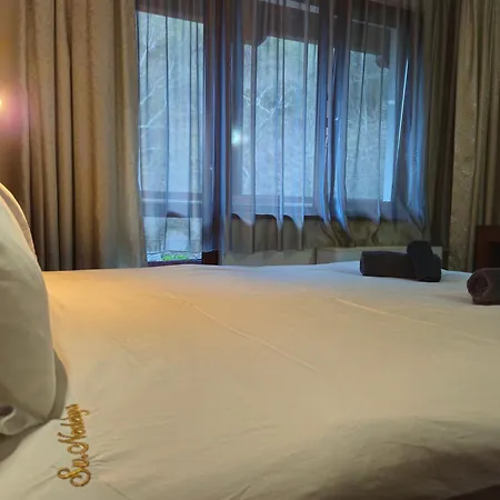 Saint Nedelya 3*