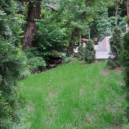 Hotel Saint Nedelya 3*