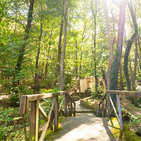 Saint Nedelya Hotel 3*