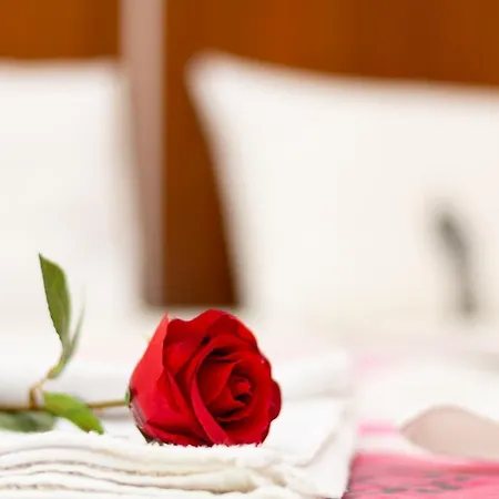 فندق Saint Nedelya 3*