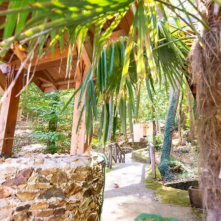 Saint Nedelya 3* Kolarovo