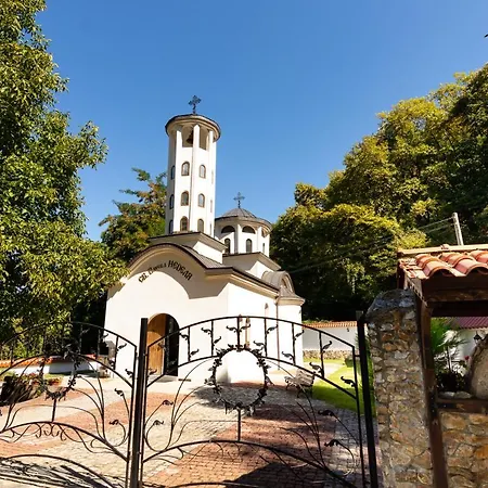 Saint Nedelya