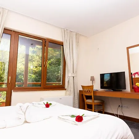 Saint Nedelya 3*