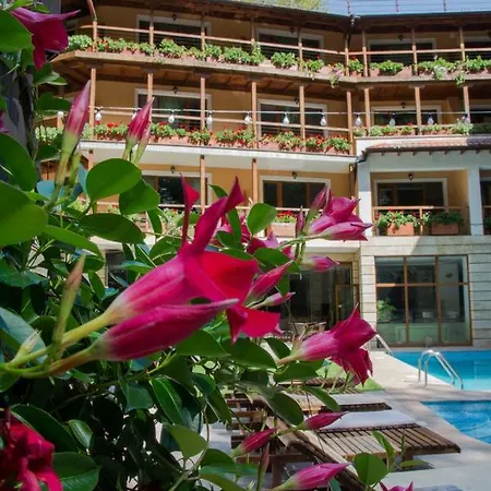 Saint Nedelya Kolarovo